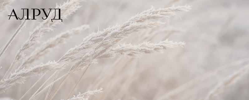 Важные новости для Частных клиентов. Декабрь 2025